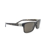 Ralph Lauren Polo 4060 5003/73 Sunglasses 58x16-140